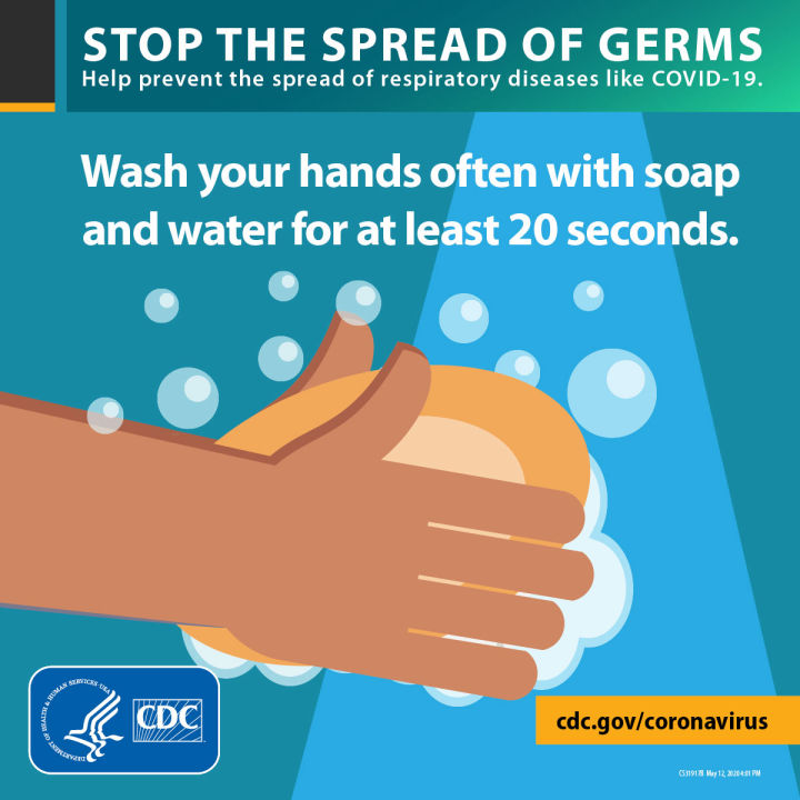 wash/sanitize hands often
